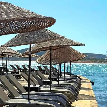 Hotel Marge Adult Only 12